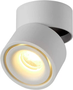 10W LED Spot Light Faretti Da Soffitto, Lampada, Plafoniera, Orientabili Da Muro - Foto 1 di 12