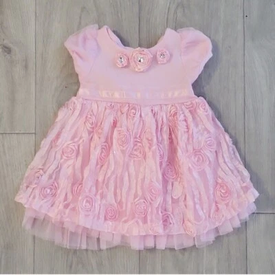 Nannette Baby Girl Formal Dress Size 6-9 Mo Special Occasion Pink Tully Roses - Image 1 of 3