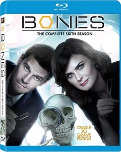 Bones: Season 6 (Blu-ray) Boreanaz David Deschanel Emile Emily (US IMPORT) - Picture 1 of 1
