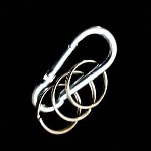 Schlüsselanhänger Karabinerhaken Schlüsselring Key Ring Karabiner Anhänger  - Picture 1 of 1