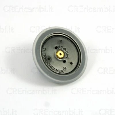 ARIETE Disco Crema Guarnizione Thermocream Originale Vecchio Tipo Macchina Caffè - Immagine 1 di 2