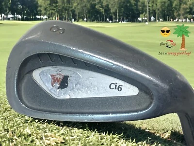 Клюшка для гольфа мужская Wilson Staff Ci6 одинарный айрон 8 True Temper R Flex стальной стержень для правосторонней стойки - Изображение 1 из 4