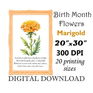 September Birth Month Flower Marigold Watercolor Wall Art Print Digital Download - Photo 1 sur 5