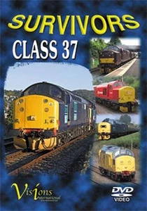 Survivors - Class 37 - Foto 1 di 1