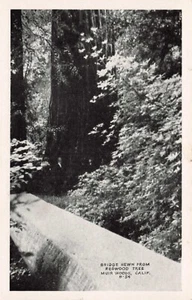Postcard Bridge Hewn From Redwood Tree Muir Woods, Calif B-54 - Picture 1 of 2