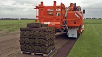 *PREMIUM ROLLRASEN Sport- und Spielrasen ab 3,00€ - DEUTSCHLANDWEITE LIEFERUNG* - Bild 1 von 4