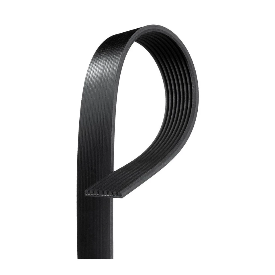 Genuine ACDelco For BMW 535i GT/535i xDrive 2016 Serpentine Belt V-Ribbed 8 Rib Foto 1 de 4