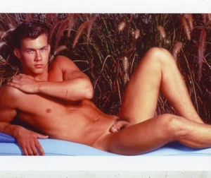 FOX STUDIOS VAULT: KYLE ARCHER * 8X10" COLOR PRINT* VINTAGE N. 5 - Picture 1 of 1