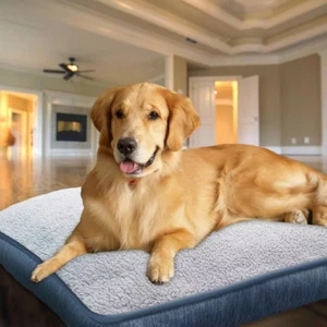 Comfy Dog Cat Pet Bed  40 In. X 30 In. Blue/Gray Sherpa Washable Removable Cover - Picture 1 of 12