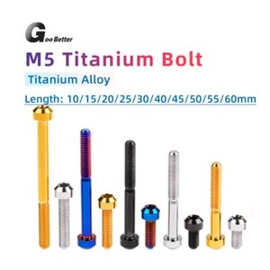 Titanium Bolt M5x10/15/20/25/30/40/45/50~60mm For Motorcycle Torx Head Ti Screws - Picture 1 of 16