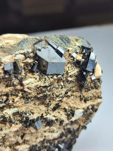 Hedenbergite Crystals On Matrix Having Good Lustre & Terminations Zagi Mountains - Picture 1 of 17