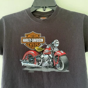 Harley Davidson Motorcycle Smoky Mountain Tennessee T-shirt Youth Boys Sz Medium - Picture 1 of 9