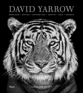 David Yarrow Fotografie: Amerika Afrika Antarktis Arktis Asien Europa - Neu - Bild 1 von 9