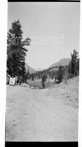 BLACK & WHITE NEGATIVE * snapshot Road in the Woods Trees Lake Building sign - Picture 1 of 3