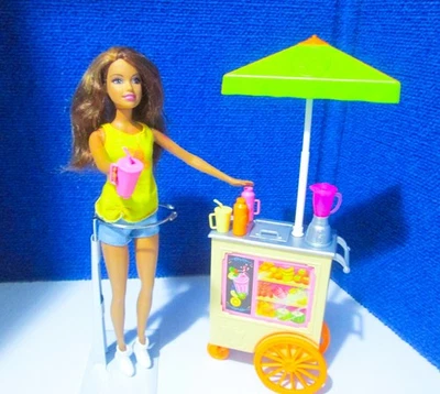 Barbie Mattel Careers Smoothie Chef 2016 juego y carro de jugos sin muñeca usado en excelente estado Foto 1 de 4