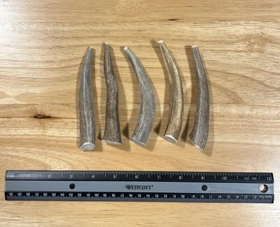 SMALL Elk/Deer Antler Natural Dog Chew. (3Pack) *ANTLER TREATS* - Image 1 of 4