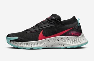 Las mejores ofertas en Nike Pegasus | eBay