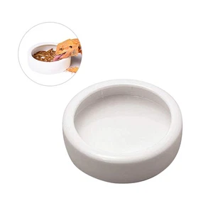 Anti-Escaping Food Bowl Comedero Para Camarones Cerámica Comida Vajilla Redonda - Imagen 1 de 11