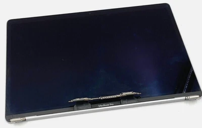 OEM Apple MacBook Pro A1990 15" LCD Screen Display Assembly Gray Silver 661-1035 - Image 1 of 3