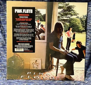Pink Floyd UMMAGUMMA 180g GATEFOLD Remastered NEW SEALED VINYL RECORD 2 LP - Foto 1 di 2