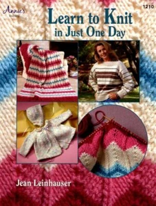 NEW ANNIE'S LEARN TO KNIT IN JUST ONE DAY 5 PROJECTS !! - Picture 1 of 1
