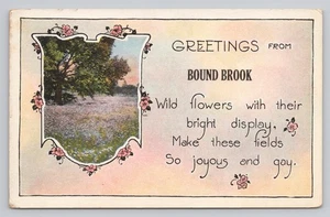 Greetings From Bound Brook New Jersey c1910s Wild Flowers Landscape Postcard - Picture 1 of 2