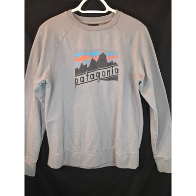 Patagonia Kids Organic Cotton Crewneck Sweatshirt Graphic Mountain Logo Gray XXL - Image 1 of 4