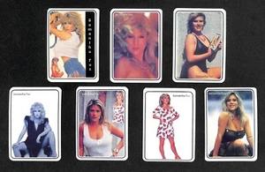 1993 SAMANTHA FOX SINGER MODEL 7 POCKET MINI CALENDAR CARDS '93 - Picture 1 of 2
