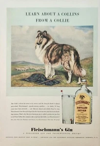1940 Fleischmanns distilled dry gin Vintage Ad learn about a collins from collie - Picture 1 of 1