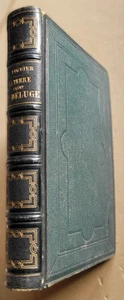 La Terre Avant le Déluge Louis FIGUIER éd Hachette 1864 - Picture 1 of 13