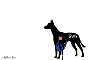 Xoloitzcuintle Perro - Nombre Personalizado Perro Correa - Gancho de Pared - Imagen 1 de 3