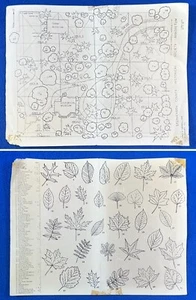 Identificador de mapa/árbol de arboreto 1968 vintage -- Arboreto del condado de Stephenson (IL) - Imagen 1 de 4