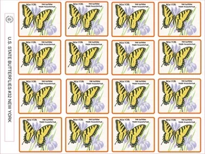 MARIPOSA DEL ESTADO DE NUEVA YORK - COLA DE GOLONDRINA TIGRE ORIENTAL TALLA 2.5"X 2"- 16 POR HOJA - Imagen 1 de 1