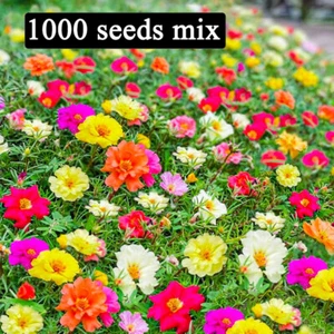 All Annual Wildflower Seeds Mix 1000Pcs,  Full Sun Annual Flowers, FREE SHIPPING - Picture 1 of 8
