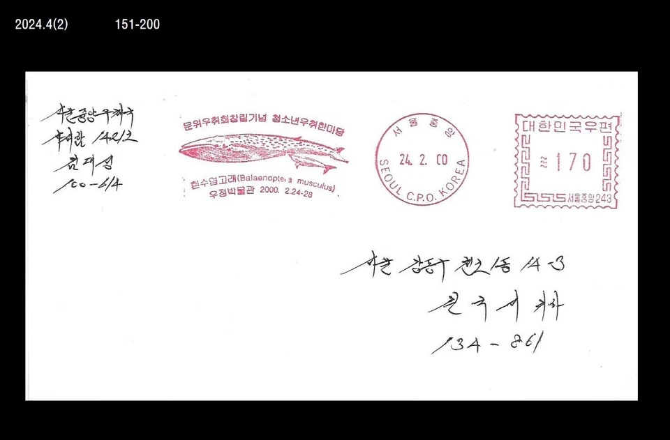 Ballena, ballena azul, vida silvestre, alimentación de ballenas bebés, mamíferos, cubierta de medidor de Corea Foto 1 de 1