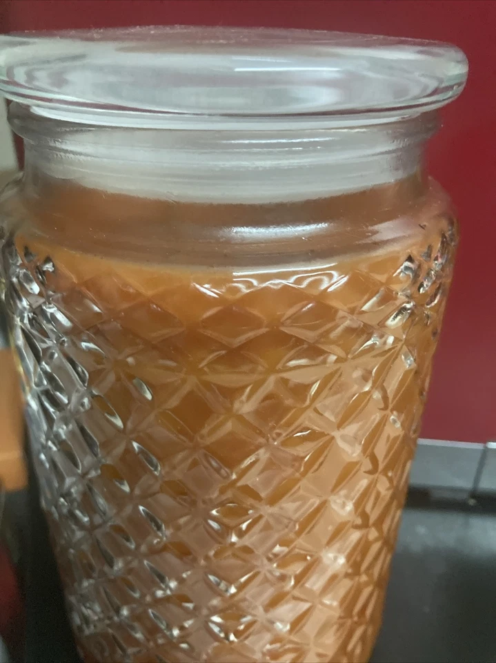 Large & Rare GOLD CANYON Candle  26 oz  Creamy pumpkin cappuccino - Image 1 of 1