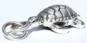 Ida Tortuga Colgante Plata Joyería - NUEVO - Picture 1 of 1