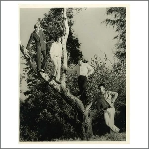 The Who 1960s Press Photograph (UK) - Picture 1 of 1