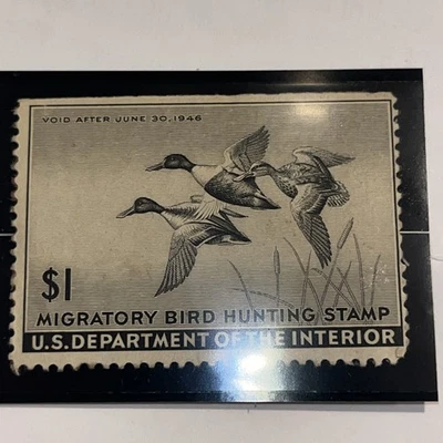 1945  RW12 Federal Duck Hunting Stamp 1945 MNH OG Migratory Bird Hunting Stamp - Image 1 of 2