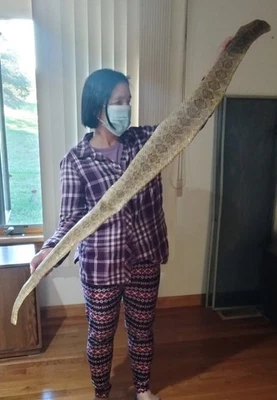 齿制钻石背响尾蛇皮肤 57 — 第 1/3 张图片