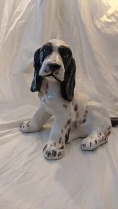 BELL EUROPA ITALY DOG - Picture 1 of 10