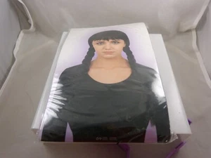 Wednesday Halloween Black Wig Addams Family braided pigtails - Picture 1 of 4