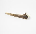 Chewing toys from deer and fallow deer antlers - size S, 50g - 70g