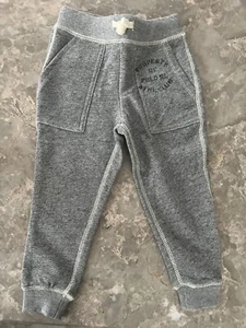 Polo Ralph Lauren Toddler Size 3/3T Gray Jogger-Style Sweatpants - Picture 1 of 4
