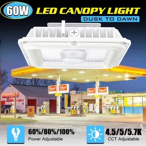 LED Canopy Light 60W 4500K-5700K for Garage Shop Barn Warehouse Gas Station Lamp - Picture 1 of 11
