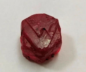40 Cts Natural Red Ruby African Rough Loose Gemstone - Picture 1 of 3