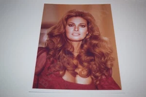 Raquel Welch pinup 8x10 glossy photo Busty Sexy Gorgeous Cleavage 0856 - Picture 1 of 1