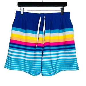 NUOVO! Baule da nuoto Chubbies con fodera 5,5" Inseam stampa retrò a righe casual - L - Foto 1 di 4
