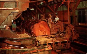 ASERRADERO PARA TALA DE POSTALES DE RECOLECCIÓN EMPRESA MADERERA ESTÁNDAR CALIFORNIA - Imagen 1 de 2