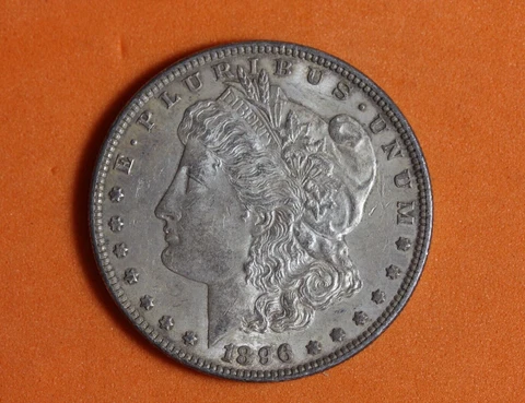 1896- Morgan Silver Dollar #P08816 Cover